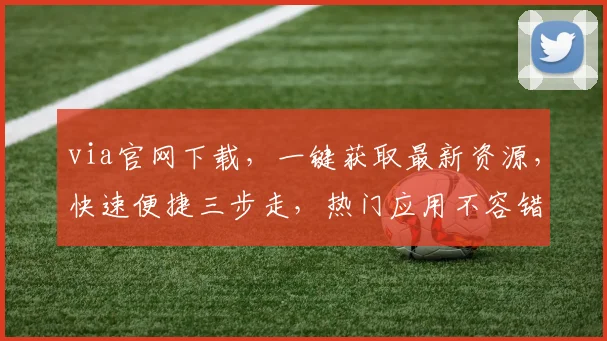 via官网下载，一键获取最新资源，快速便捷三步走，热门应用不容错过，轻松安装体验