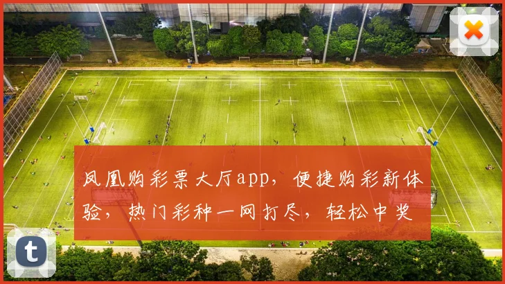 凤凰购彩票大厅app，便捷购彩新体验，热门彩种一网打尽，轻松中奖两步走