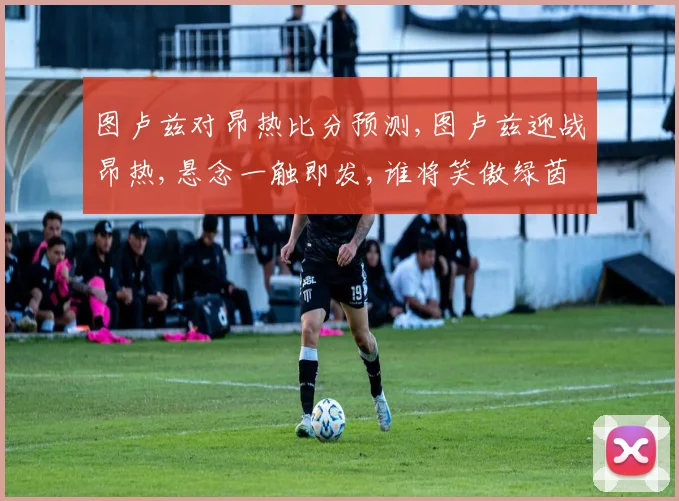 图卢兹对昂热比分预测,图卢兹迎战昂热,悬念一触即发,谁将笑傲绿茵场
